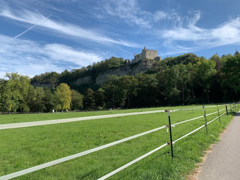 Hotel Garni Zum Rebstock Naumburg (Saale) Exterior foto