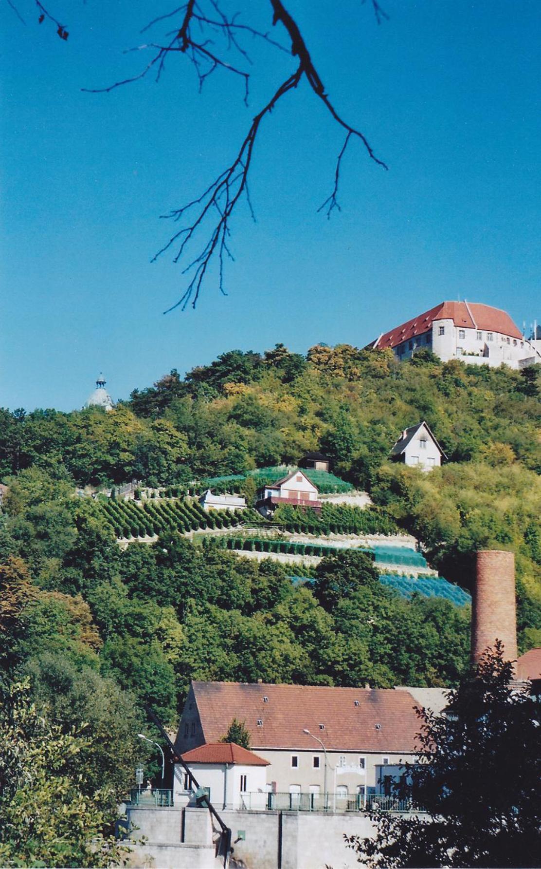 Hotel Garni Zum Rebstock Naumburg (Saale) Exterior foto