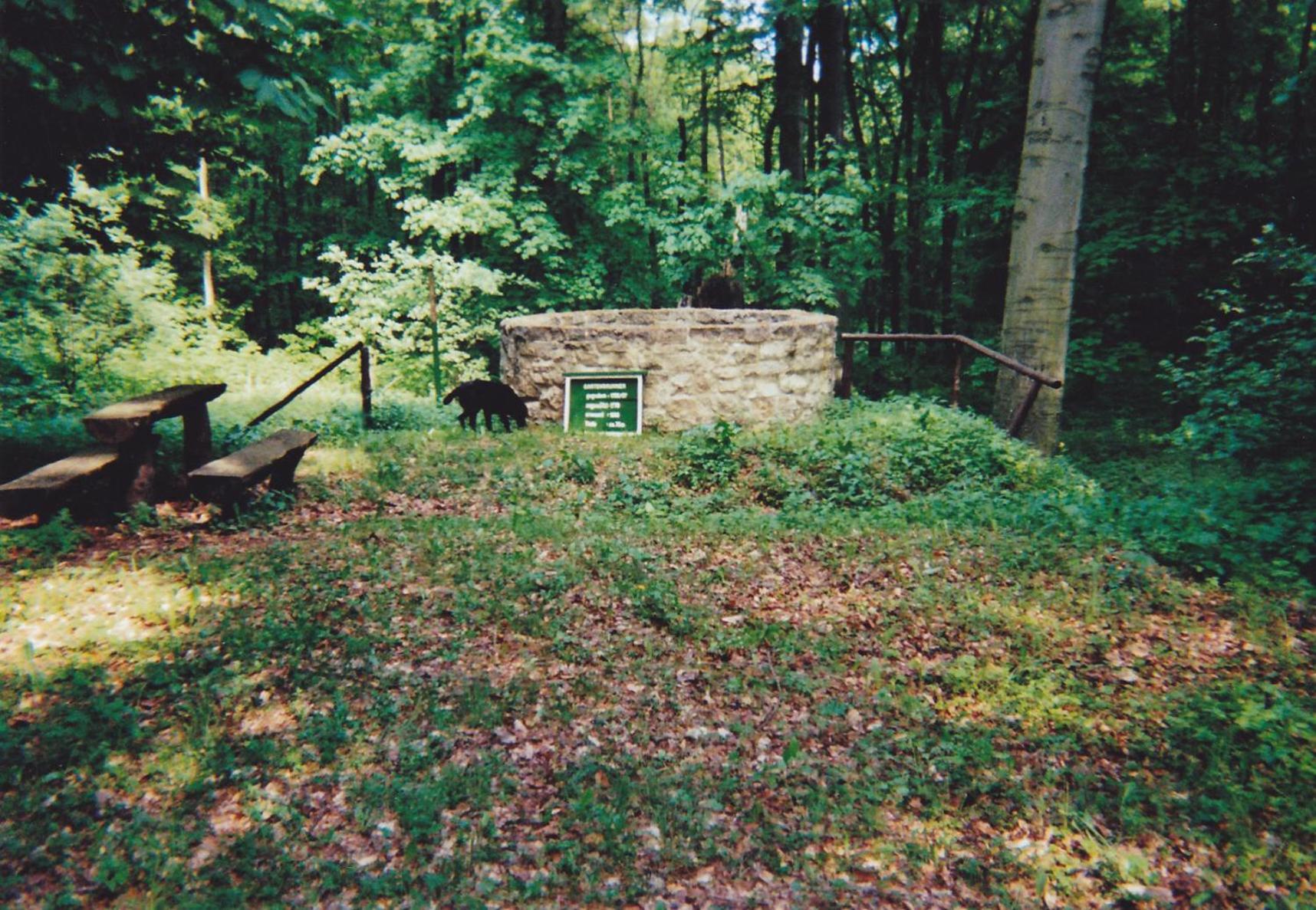 Hotel Garni Zum Rebstock Naumburg (Saale) Exterior foto