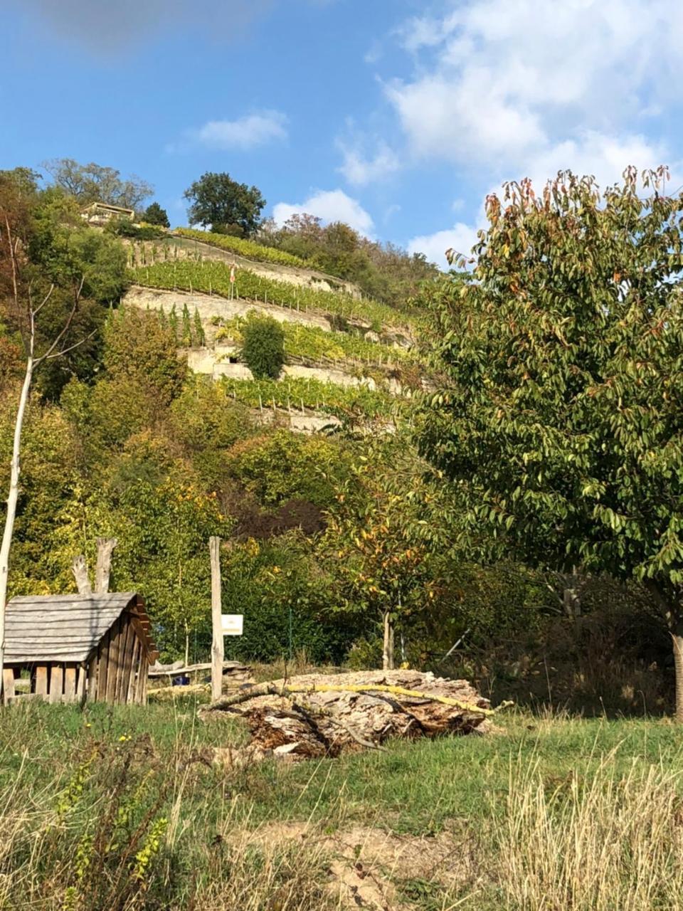 Hotel Garni Zum Rebstock Naumburg (Saale) Exterior foto