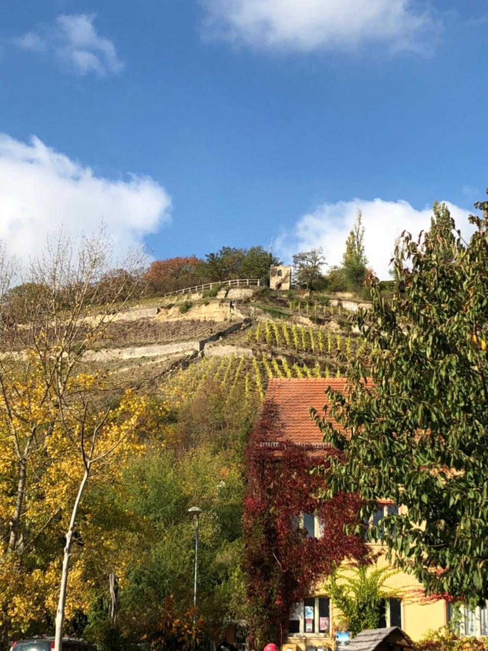 Hotel Garni Zum Rebstock Naumburg (Saale) Exterior foto